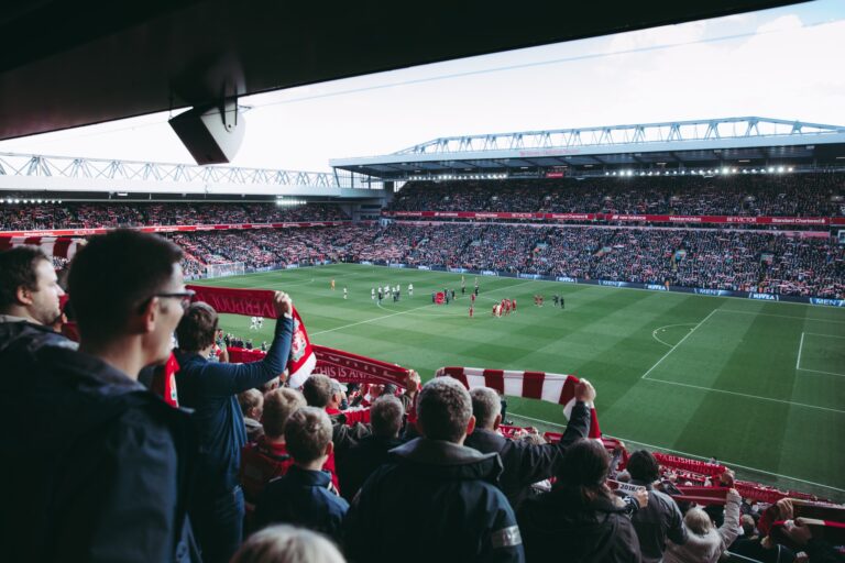 Fans at football match